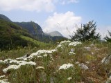 09. Zelengora